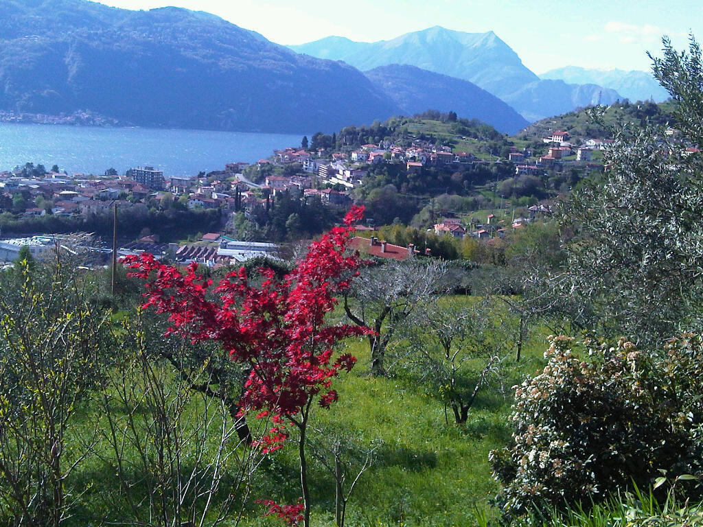 Agriturismo Crotto Di Somana Mandello del Lario Extérieur photo